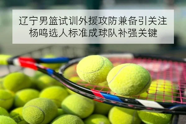 辽宁男篮试训外援攻防兼备引关注 杨鸣选人标准成球队补强关键